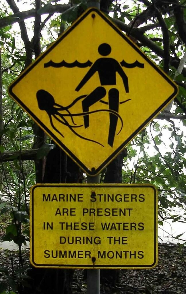 Dangerous Australian Animals. Marine stingers.